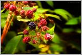 Roadside Produce