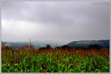 Rain breaks