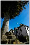 Cross Tree and Cross Tree Cottage