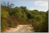 Country pathway