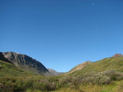 IMG_0705.JPG