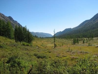 IMG_0708.JPG