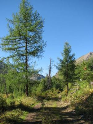 IMG_0709.JPG