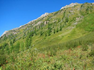 IMG_0710.JPG
