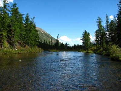 IMG_0719.JPG