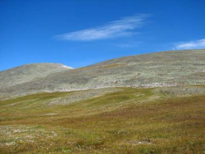 IMG_0730.JPG