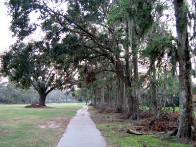 Spanish Moss