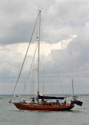 IMG_1064crautoconsh.jpg