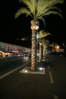 IMG_5049.JPG