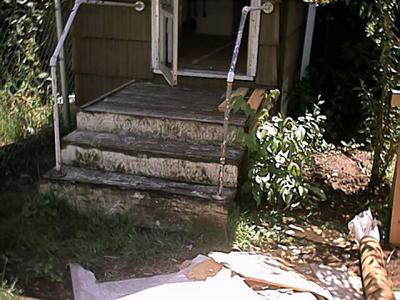 back steps