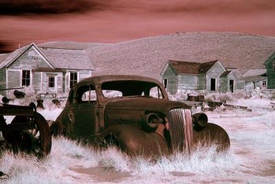 bodie