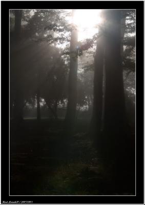 20051003 - Shine -