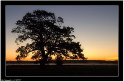 20051030 - Early, early morning -