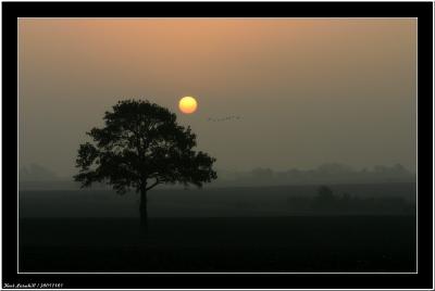 20051101 - Morning sun -