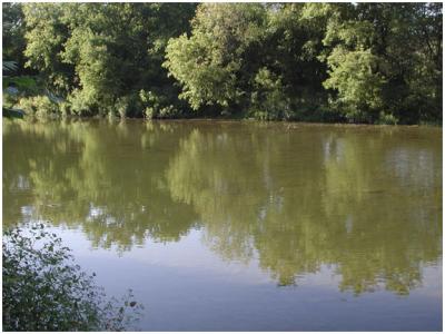 riverReflect.jpg