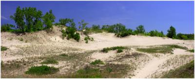 v3/15/479715/3/46211958.dunes4.jpg
