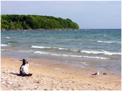 v3/15/479715/3/46246430.sandbanks2.jpg