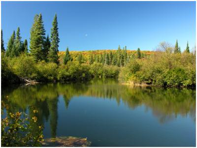 Oxtongue River