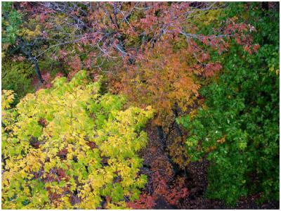 From The Dorset Fire Lookout