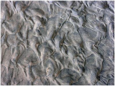 Singing Sands, Bruce Peninsula National Park