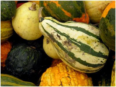 gourds2.jpg