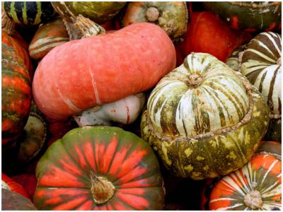 gourds4.jpg