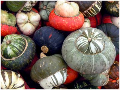 gourds5.jpg