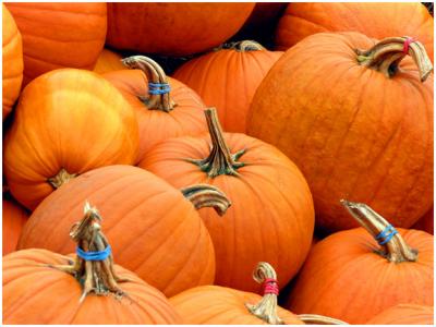 gourds8.jpg