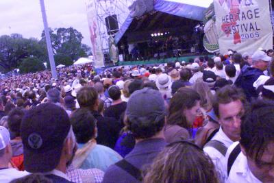 Elvis Costello