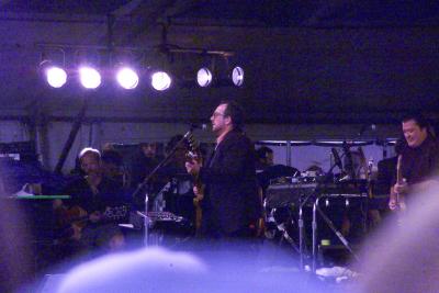 Elvis Costello