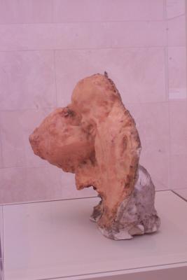 Medardo Rosso The Golden Age