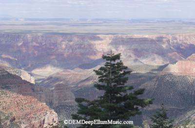Grand Canyon observation Point Imperial