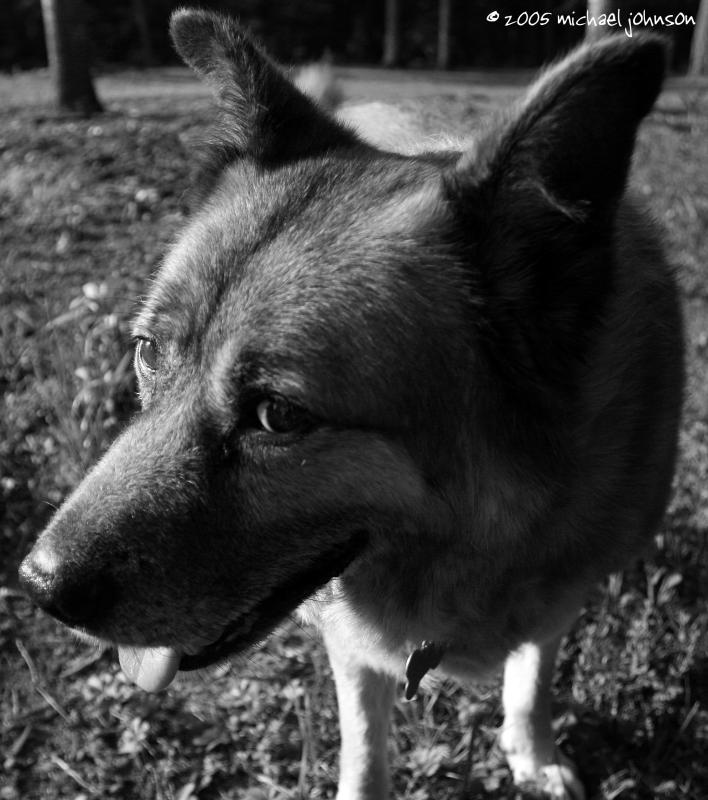 i see you.