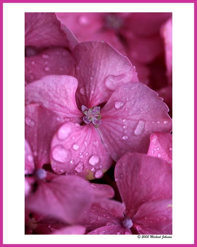 summer shower