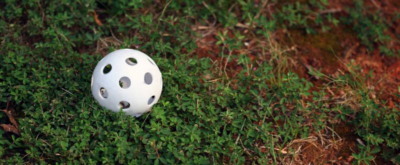 wiffle ball