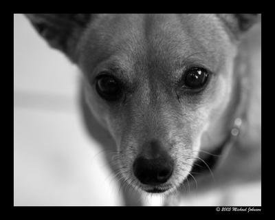 lucy