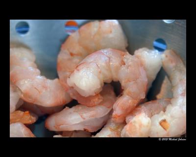 ahhh shrimp