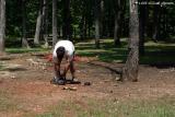 broken chainsaw