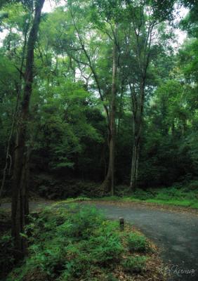 Ponmudi