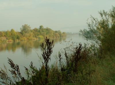 Morning river.JPG