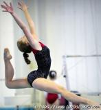 Gymnastic leap