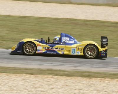 2005_PLM_Q_8_01_pbase.jpg