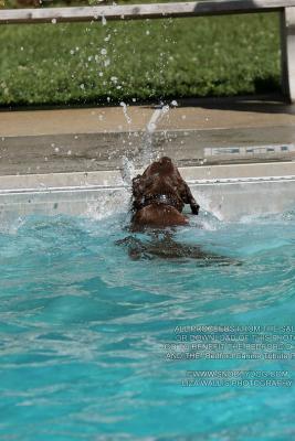 IMG_3381.jpg