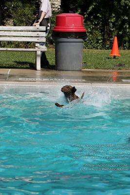 IMG_3385.jpg