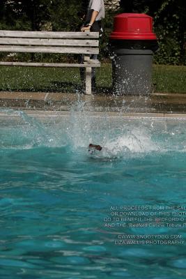 IMG_3387.jpg