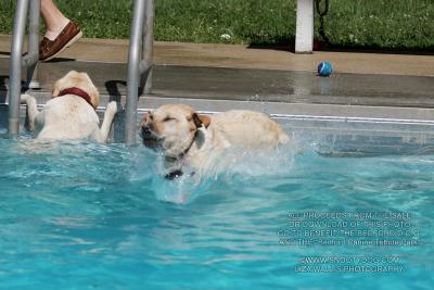 IMG_3421.jpg