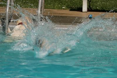 IMG_3422.jpg