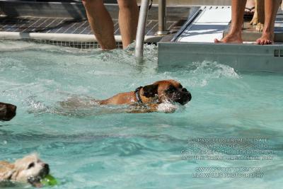IMG_3543.jpg