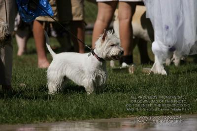 IMG_3575.jpg