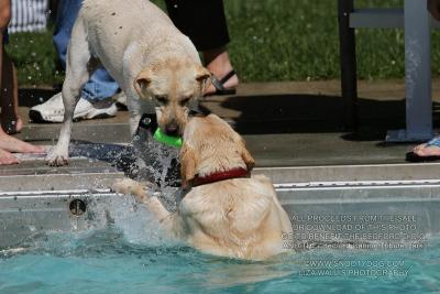 IMG_3611.jpg
